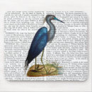 Search for two animals electronics Blue