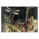 Search for dragonfly cookware Cream
