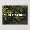 Search for camouflage postcards Green