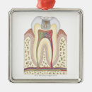 Search for healthcare christmas tree decorations Medical
