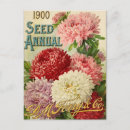 Search for vintage ad postcards Seeds
