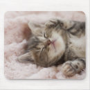 Search for closed mousepads Cat