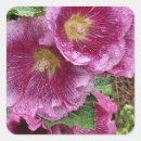 Search for hollyhock stickers Pink