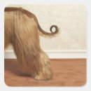 Search for afghan hound stickers Indoors