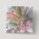 Search for elements photography Fronds