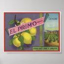 Search for vintage fruit crate labels posters Retro
