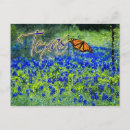 Search for texas bluebonnet postcards Field