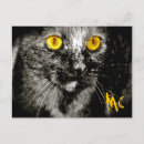 Search for spooky eyes postcards Cats