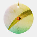 Search for ladybug christmas tree decorations Beetle