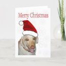 Search for yellow labrador christmas cards Retriever