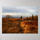 Search for sods Dolly sods