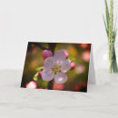 Search for apple blossom birthday cards Bloom