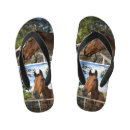 Search for horse shoes Mare