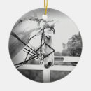 Search for horseback christmas tree decorations Equine
