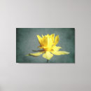 Search for yellow daffodil canvas prints Flowers