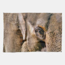 Search for zoo animals tea towels Elephant