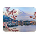 Search for cherry blossom magnets Mt fuji