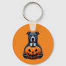 Search for pitbull key rings Halloween