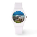 Search for turtles watches Aquatic