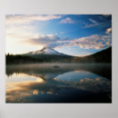 Search for national forest posters Reflection
