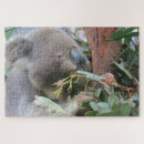 Search for koala bear puzzles Mammal