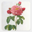Search for rose buds stickers Joseph