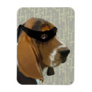 Search for hound magnets Animals