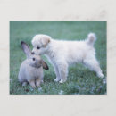Search for lop postcards Togetherness