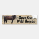 Search for saddlebred bumper stickers Appaloosa stallion mare