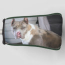 Search for pit photography Dog
