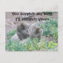 Search for monkey business postcards Ape