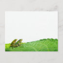 Search for two shells postcards Togetherness