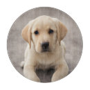 Search for labrador chopping boards Pets