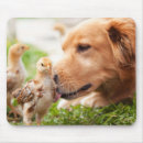 Search for friend dog mousepads Animals