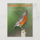 Search for redbreast postcards Songbird
