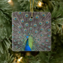 Search for blue bird christmas tree decorations Photography