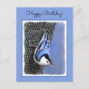 Search for nuthatch postcards White breasted nuthatch
