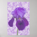 Search for purple iris art posters Digital