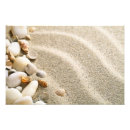 Search for pebbles posters Summer