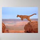 Search for barren art Usa