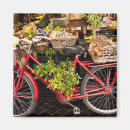 Search for bicycle square magnets Rustic