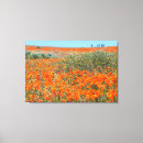 Search for poppy field canvas prints Nature