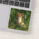 Search for animal and nature stickers Wildlife