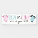 Search for gender reveal banners Boy or girl