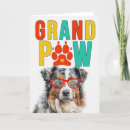 Search for australian shepherds cards Dogs