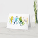 Search for parakeet cards Budgie