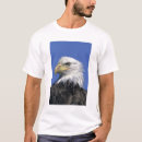 Search for haliaeetus tshirts Usa