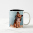 Search for chihuahua pictures mugs Pet