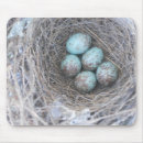 Search for nesting mousepads Nature