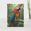 Search for macaw cards Jungle